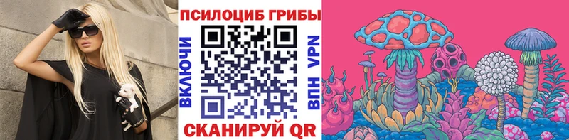 продажа наркотиков  Сорочинск  Псилоцибиновые грибы Psilocybine cubensis 